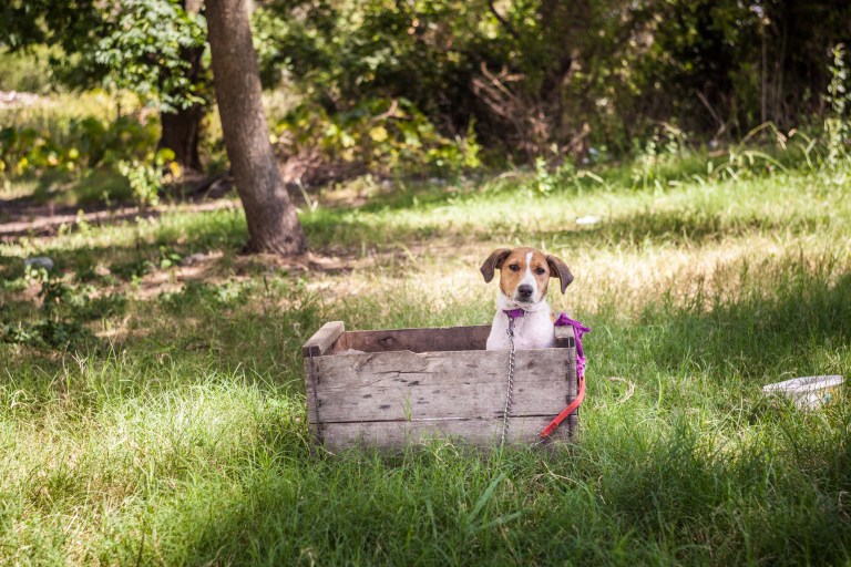 South America_5s-6874