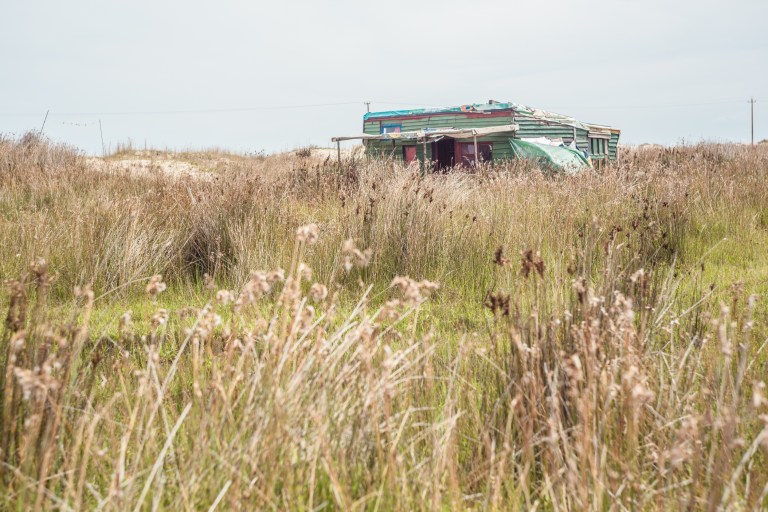 South America_5s-6998