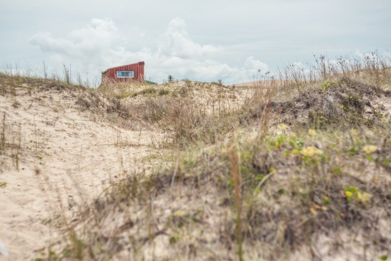 South America_5s-7001