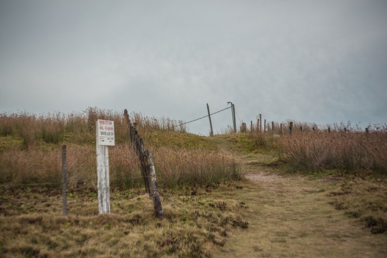 South America_5s-7094