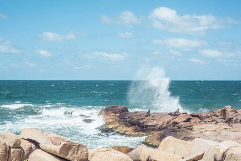 South America_5s-7147