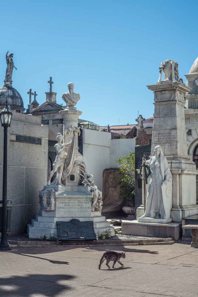 South America_5s-7197