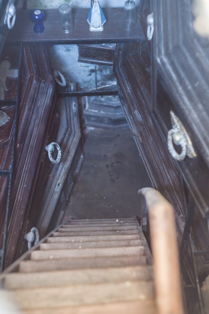 South America_5s-7207