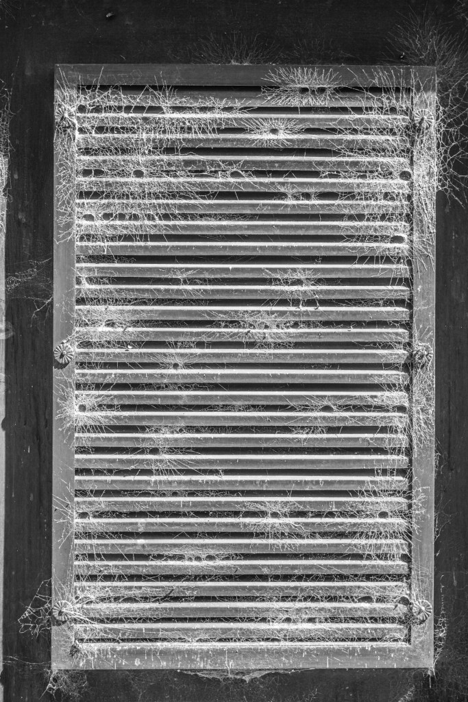 South America_5s-7210