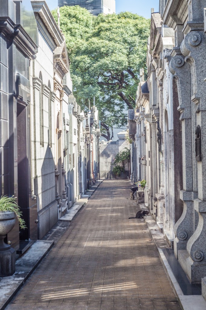 South America_5s-7231