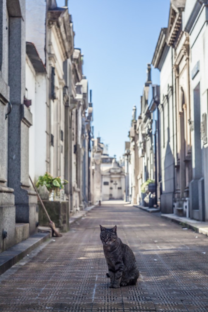 South America_5s-7239