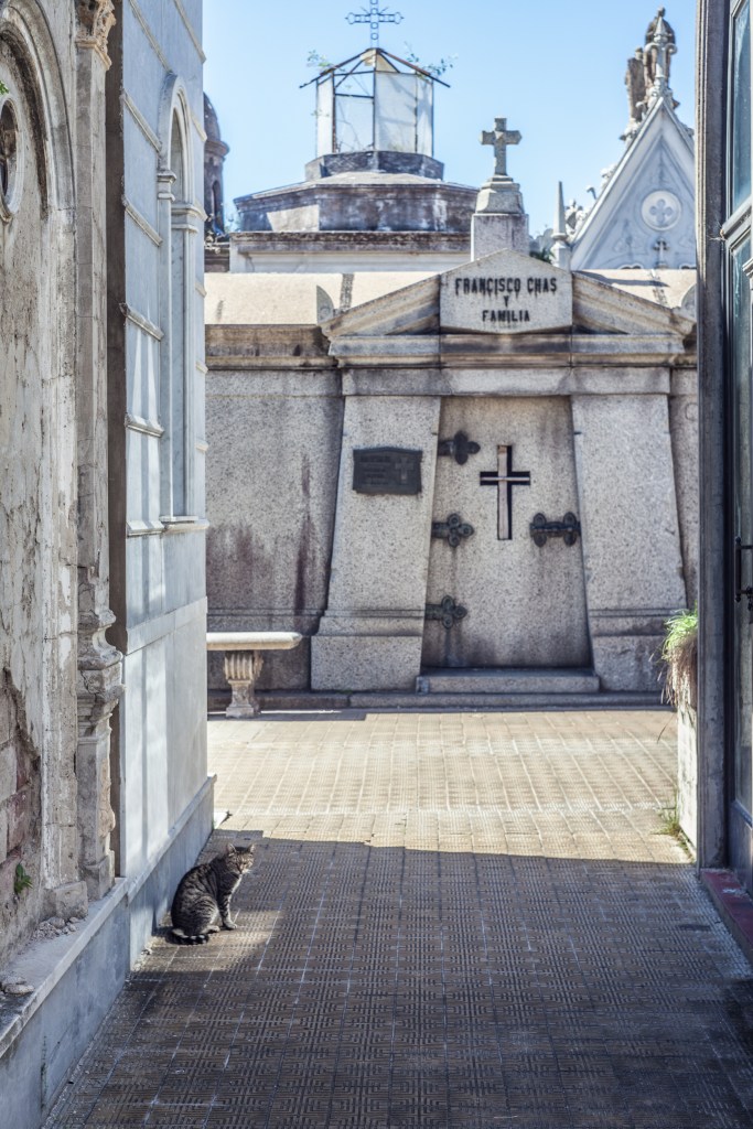 South America_5s-7242