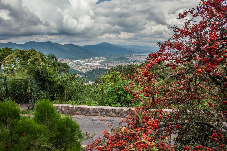 South America_5s-7763