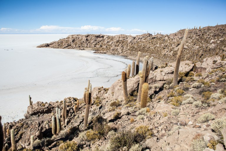 South America_5s-8664