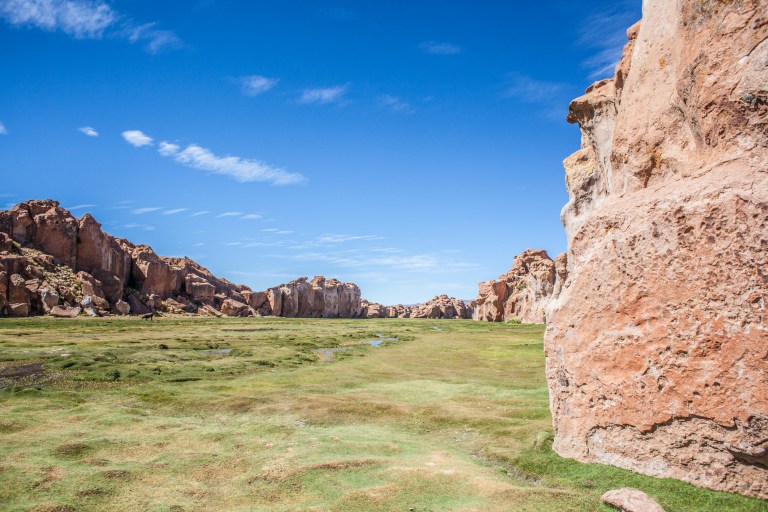 South America_5s-8886