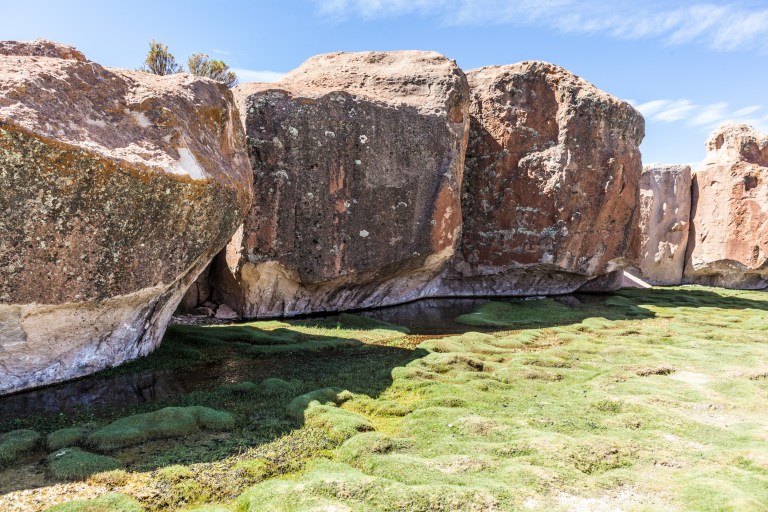 South America_5s-8901