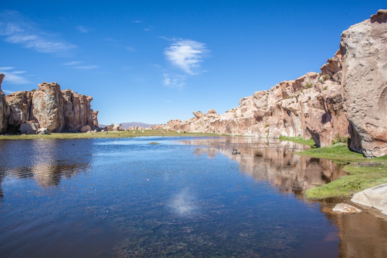 South America_5s-8907