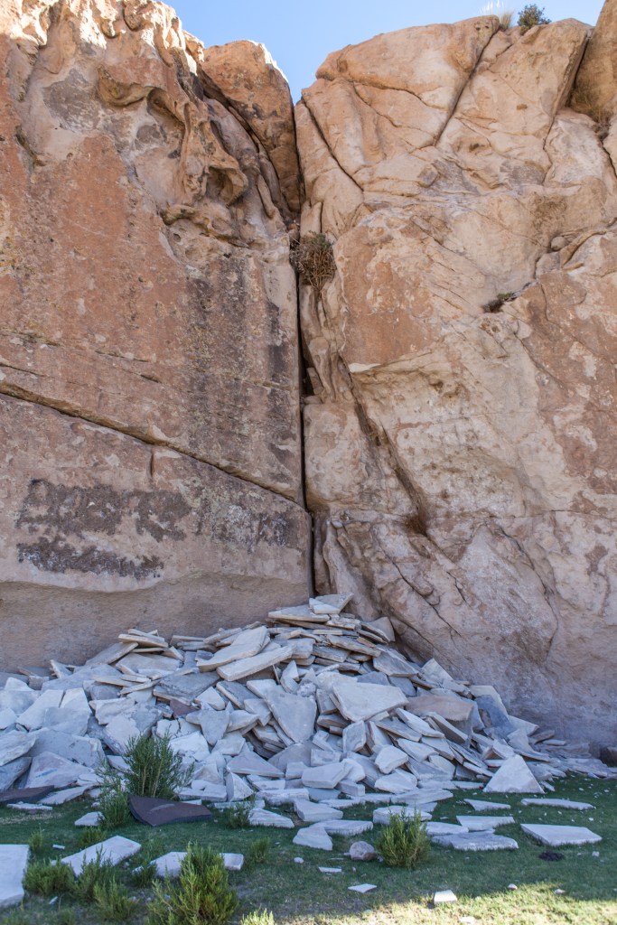 South America_5s-8970