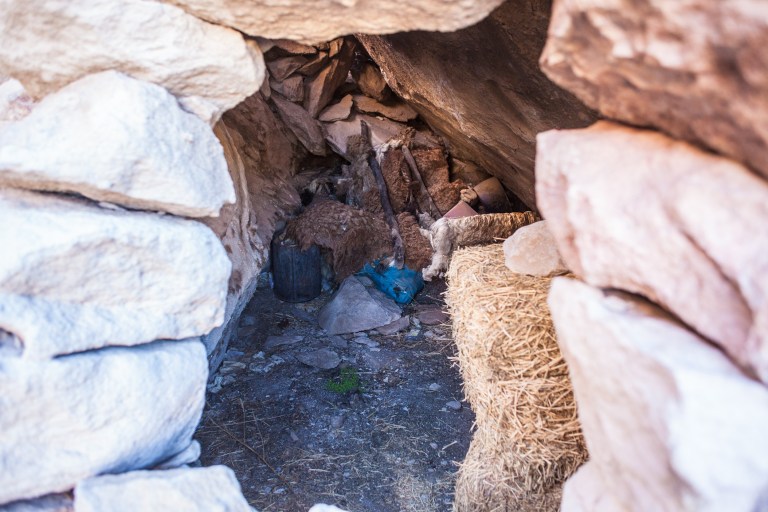 South America_5s-9002