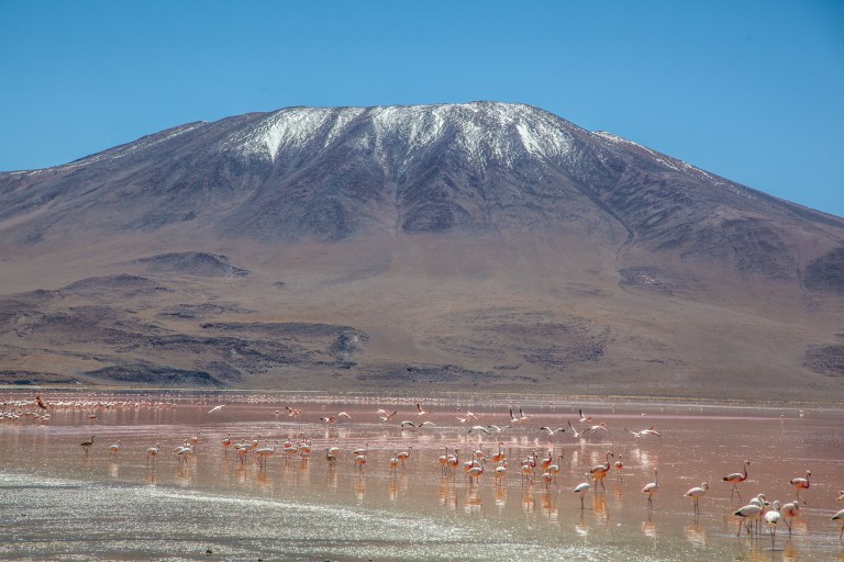 South America_5s-9172