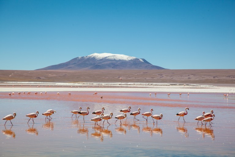 South America_5s-9174