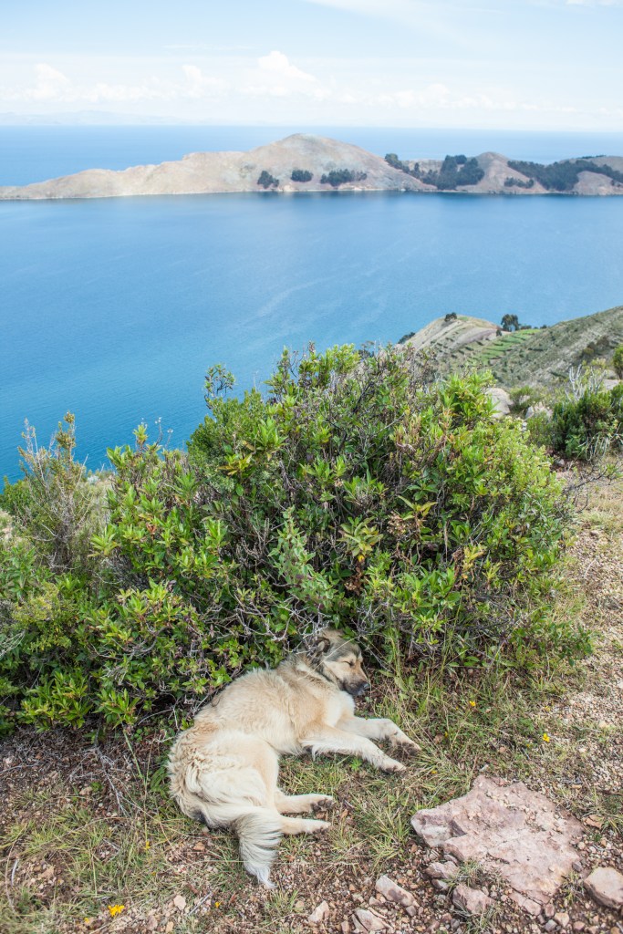 South America_5s-9462