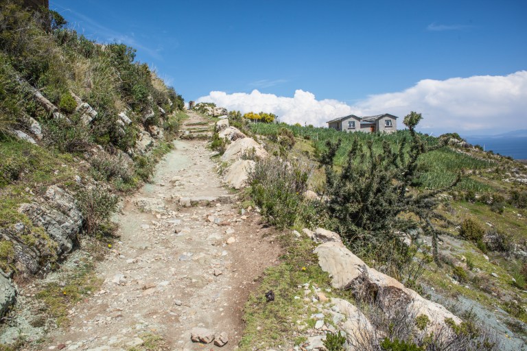 South America_5s-9487