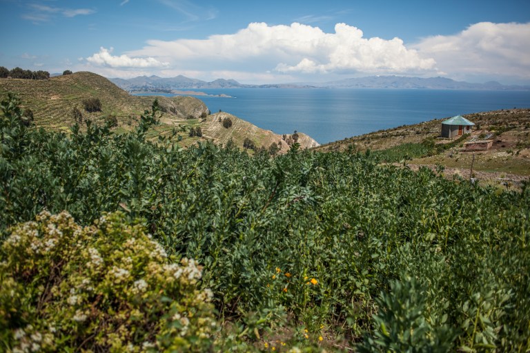 South America_5s-9490