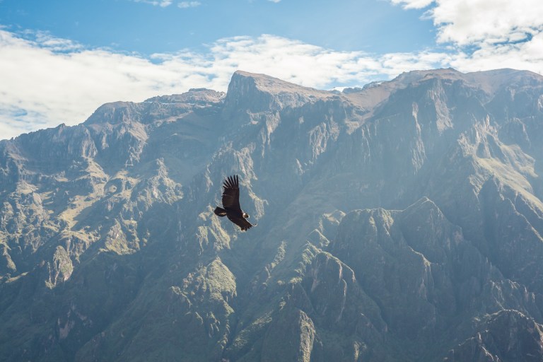 South America_5s-9575