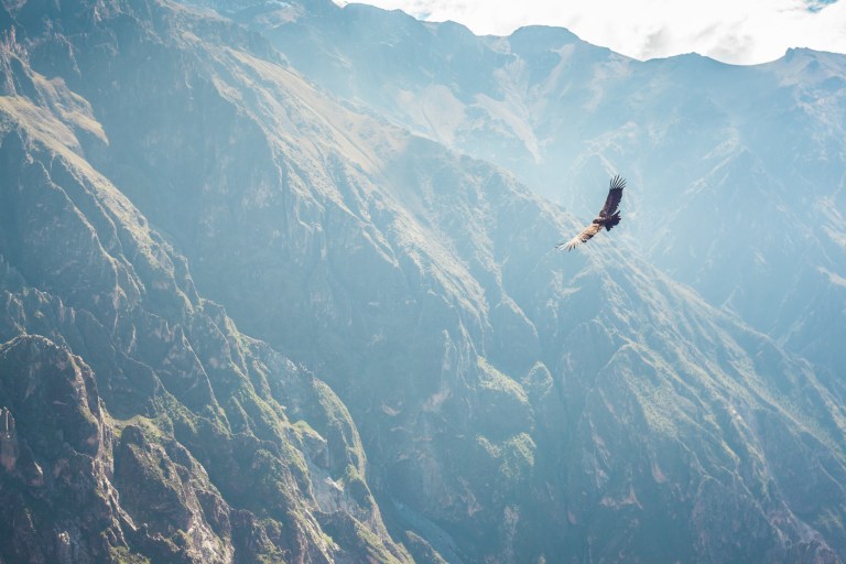 South America_5s-9607