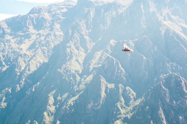 South America_5s-9613