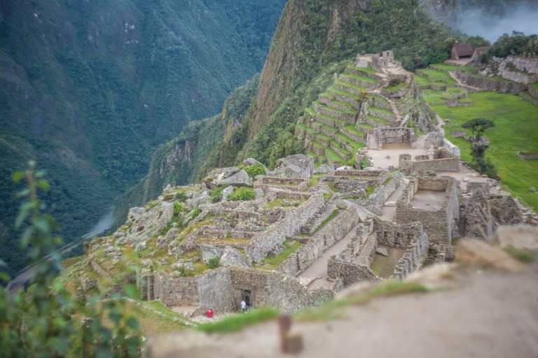 South America_5s-9737