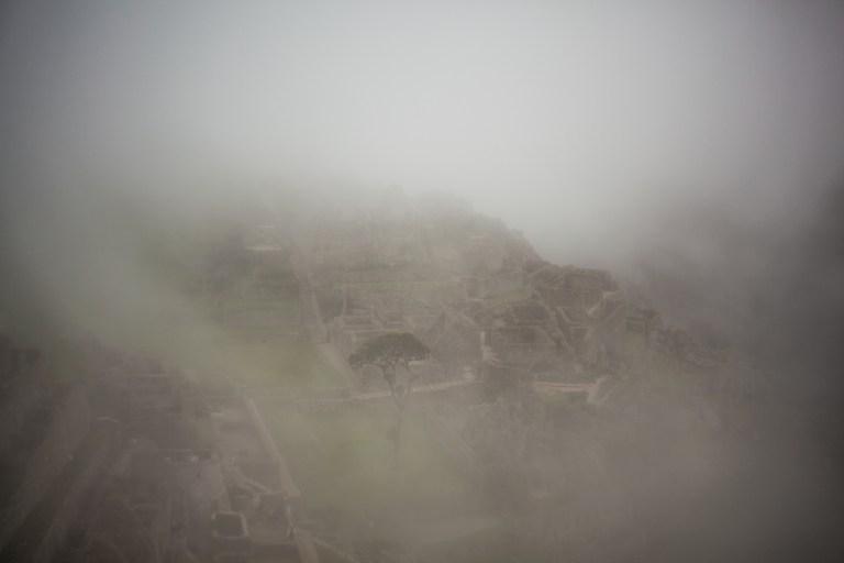 South America_5s-9741