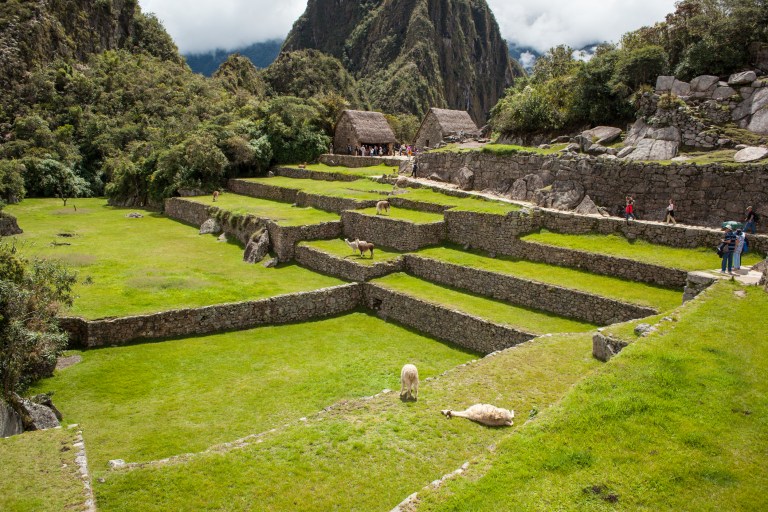 South America_5s-9848